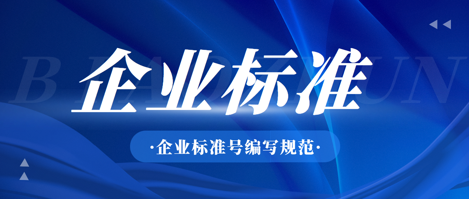 企业标准号编写规范（Q/XXX格式）实操全指南